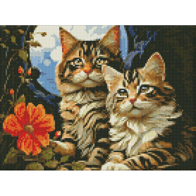Алмазна мозаїка без підрамника - Чарівні котики ©art_selena_ua