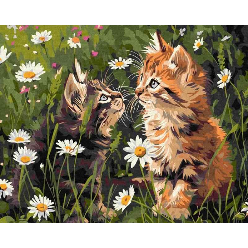 Картина за номерами - Котики у квітах ©art_selena_ua