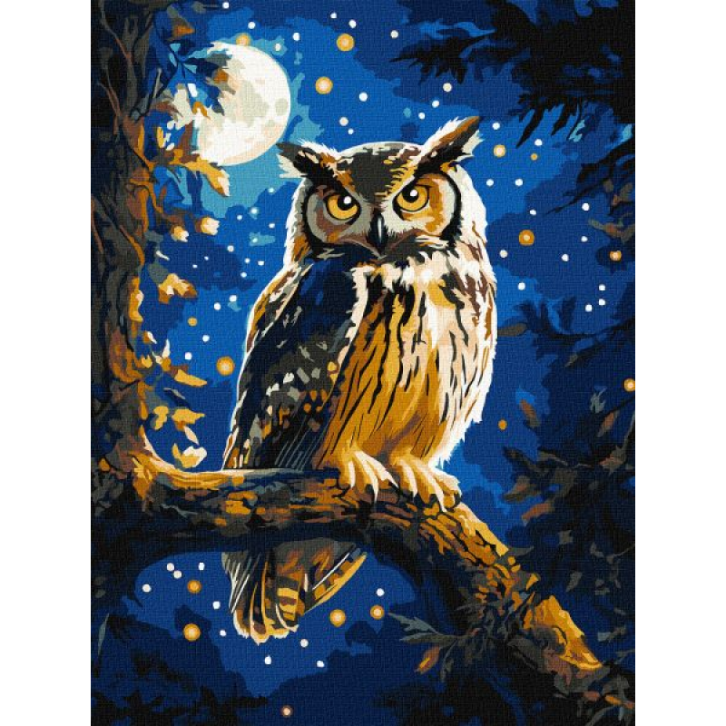 Картина за номерами - Нічна сова з фарбами металік extra ©art_selena_ua