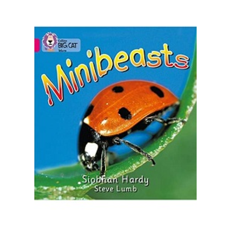Big Cat 1A Minibeasts. Big Cat 1A Minibeasts.