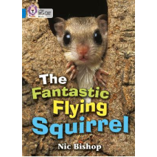 Big Cat  4 The Fantastic Flying Squirrel.