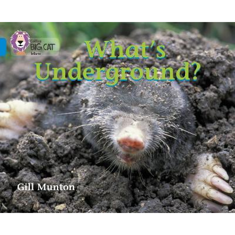 Big Cat 4 What's Underground? Big Cat 4 What's Underground?