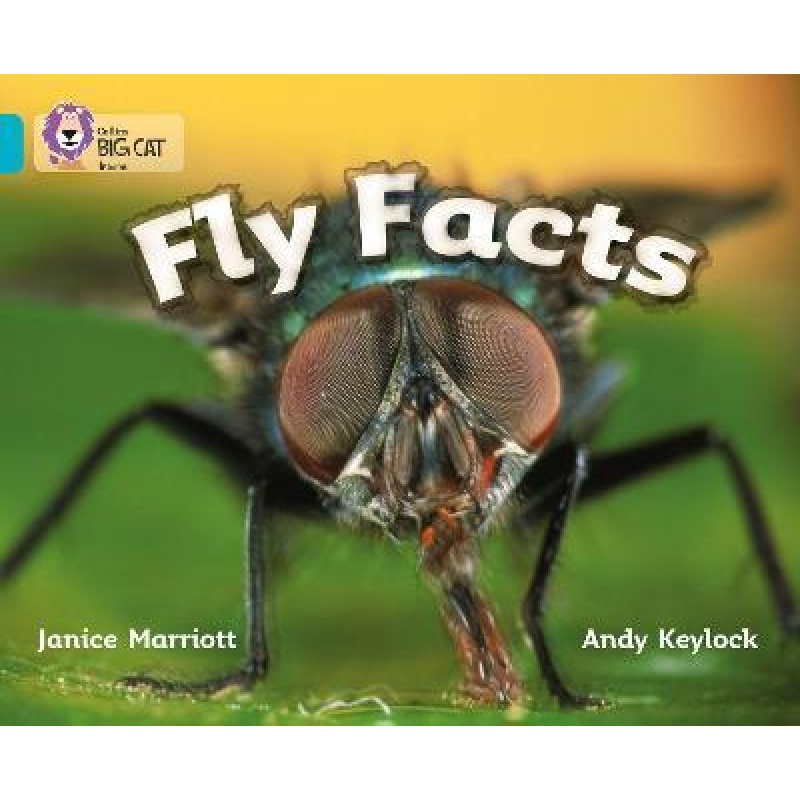 Big Cat 7 Fly Facts. Big Cat 7 Fly Facts.