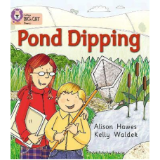 Big Cat Phonics 2B Pond Dipping.