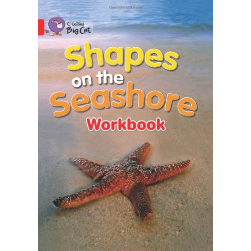 Big Cat  2A Shapes on the Seashore. Workbook.