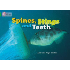 Big Cat  5 Spines, Stings and Teeth. Workbook.