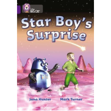 Big Cat  8 Star Boy's Surprise. Workbook.