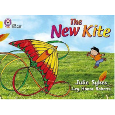 Big Cat  3 The New Kite. Workbook.