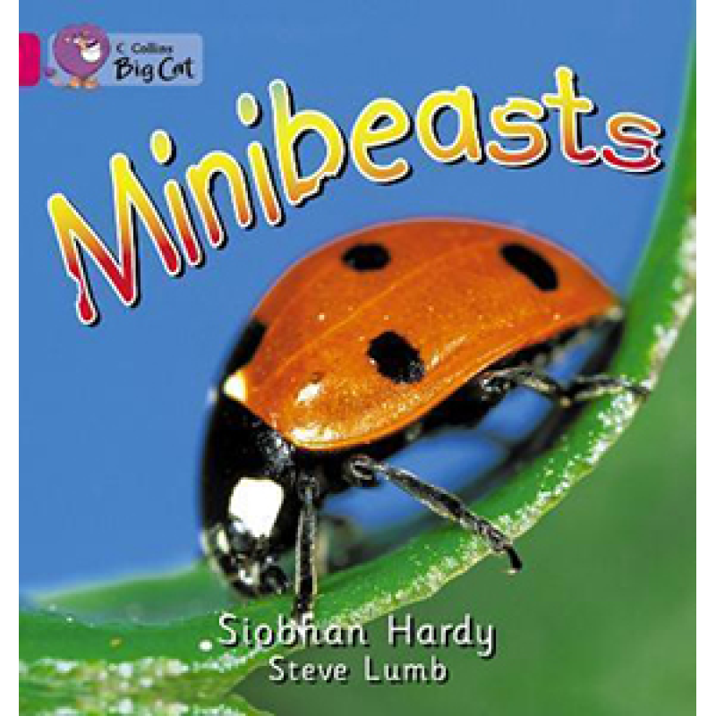Big Cat 1A Minibeasts. Workbook. Big Cat 1A Minibeasts. Workbook.
