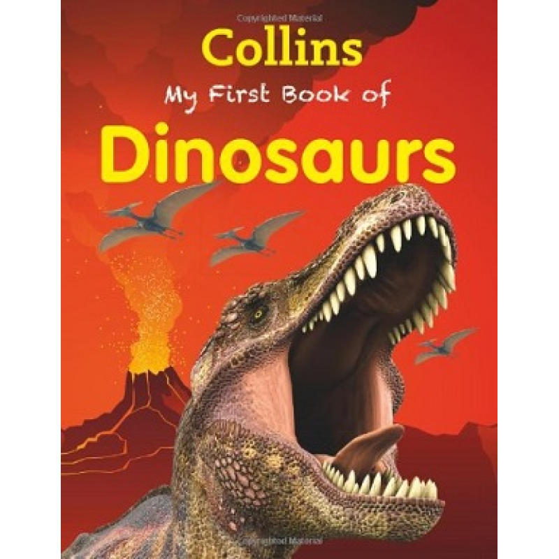 My First Book of Dinosaurs My First Book of Dinosaurs