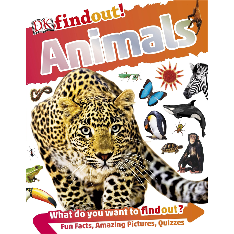 DKfindout!: Animals DKfindout!: Animals
