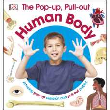 Pop-up, Pull out: Human Body
