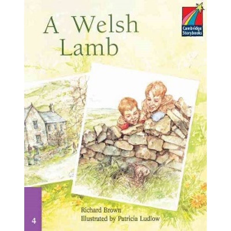 CSB 4 A Welsh Lamb CSB 4 A Welsh Lamb
