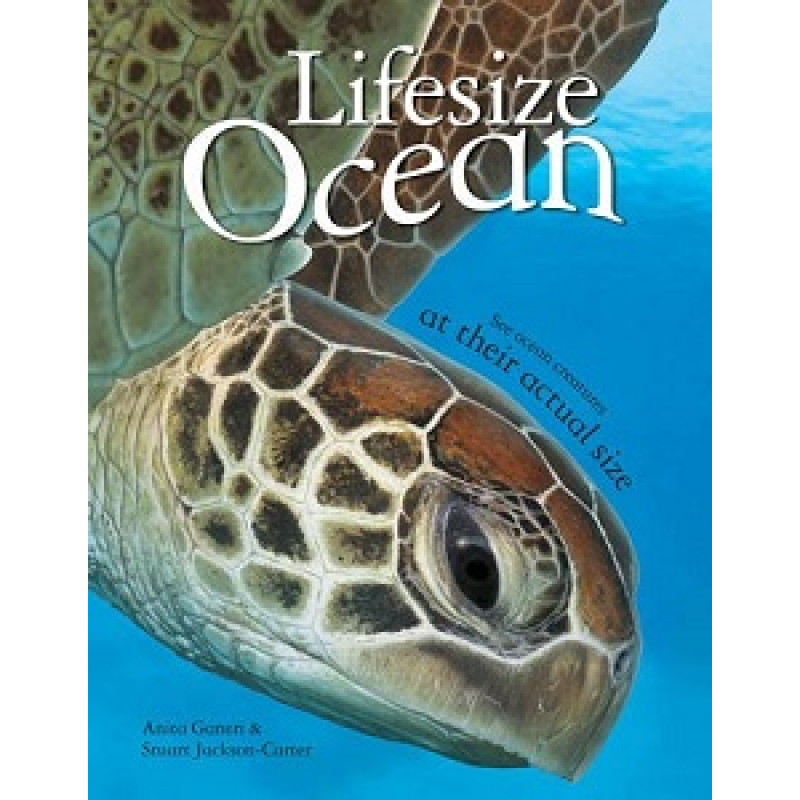 Lifesize Ocean Lifesize Ocean