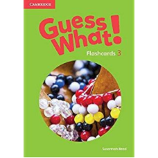 Guess What! Level 3 Flashcards (pack of 75)