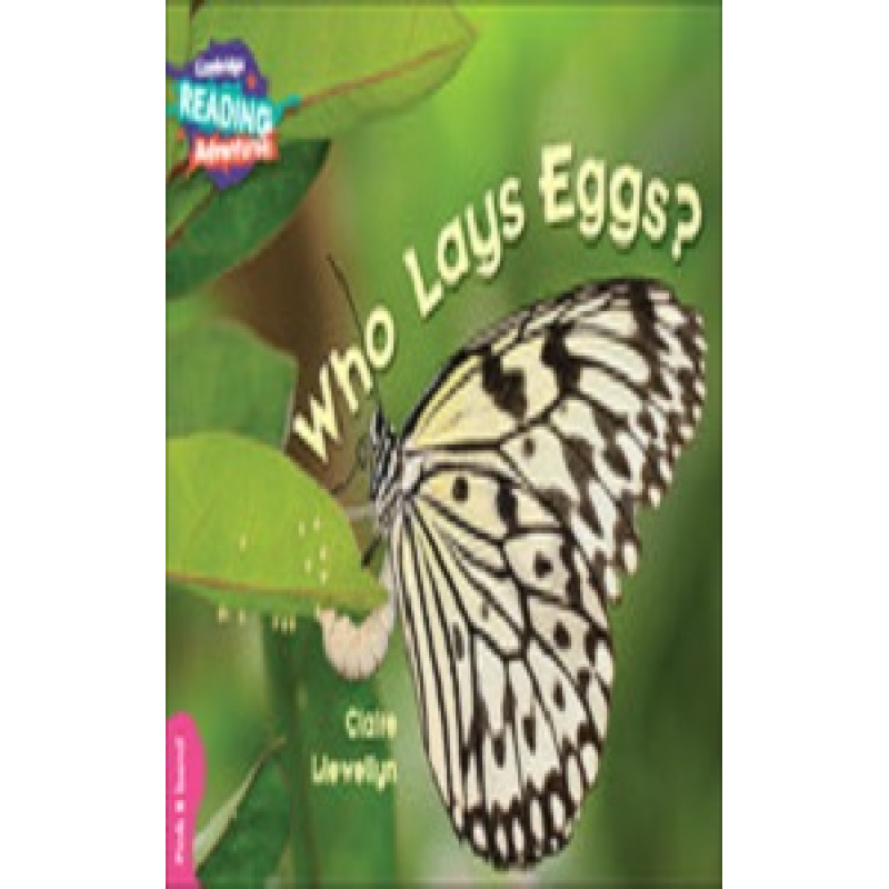 CRA Who Lays Eggs? Pink B band CRA Who Lays Eggs? Pink B band