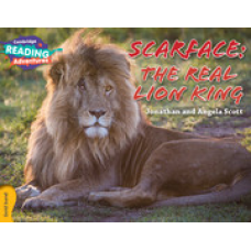 CRA Scarface: The Real Lion King Gold Band