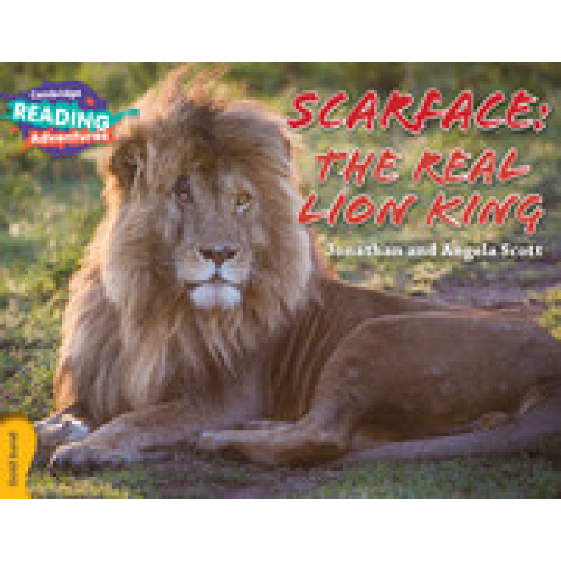 CRA Scarface: The Real Lion King Gold Band