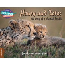 CRA Honey and Toto: The Story of a Cheetah Family 1 Pathfinders