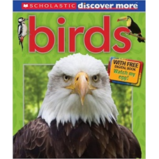 Discover More: Birds