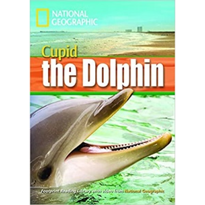 FRL1600 B1 Cupid the Dolphin FRL1600 B1 Cupid the Dolphin