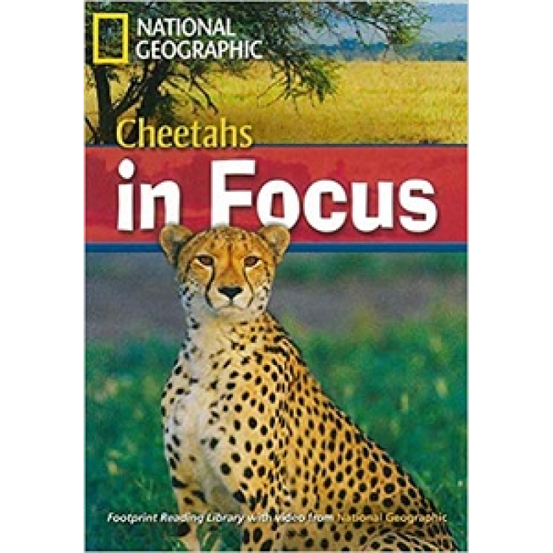 FRL2200 B2 Cheetahs in Focus! FRL2200 B2 Cheetahs in Focus!
