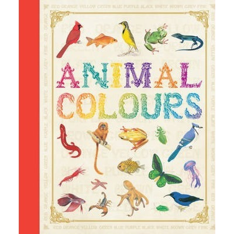 First Concept: Animal Colours First Concept: Animal Colours