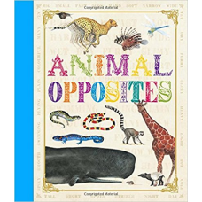 First Concept: Animal Opposites