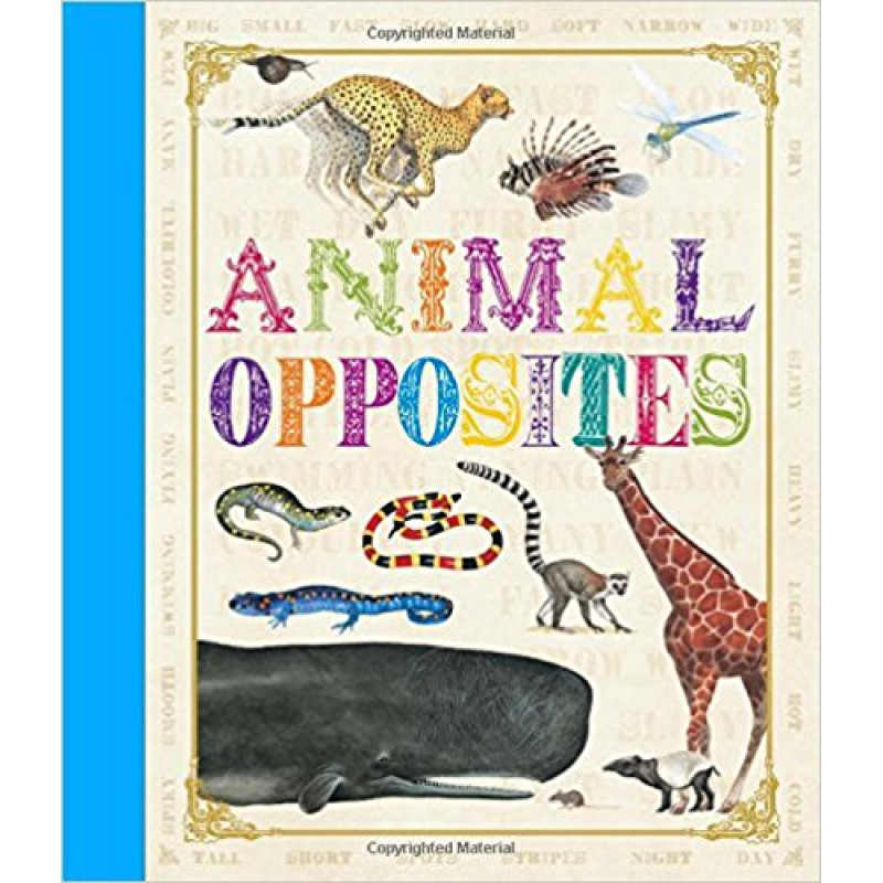 First Concept: Animal Opposites First Concept: Animal Opposites