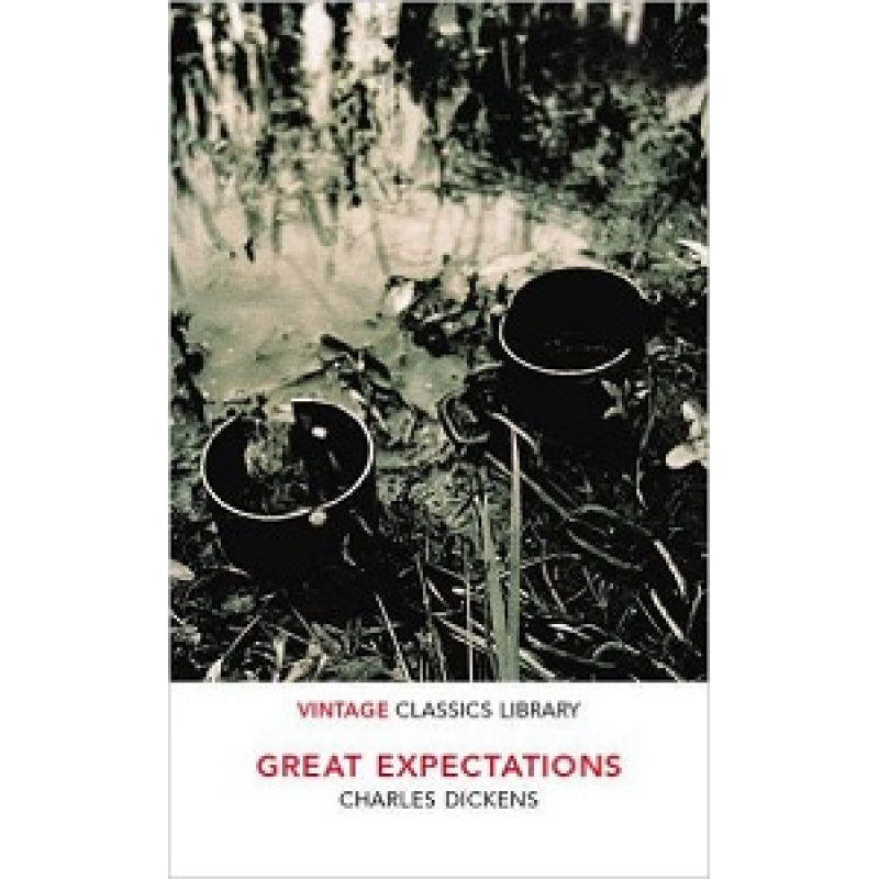VCL Great Expectations VCL Great Expectations