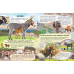 Енциклопедія. Ферма